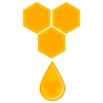 06-sciami